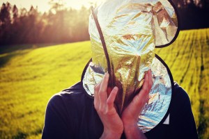 field-of-pretty-flowers-124a