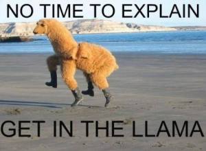 1452582_10152056593939532_15674888_n