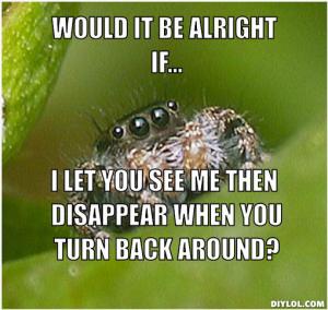 misunderstood-spider-meme-generator-would-it-be-alright-if-i-let-you-see-me-then-disappear-when-you-turn-back-around-4d92e2
