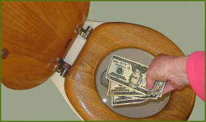 money-down-the-toilet