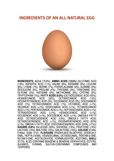 ingredients-of-an-all-natural-egg1