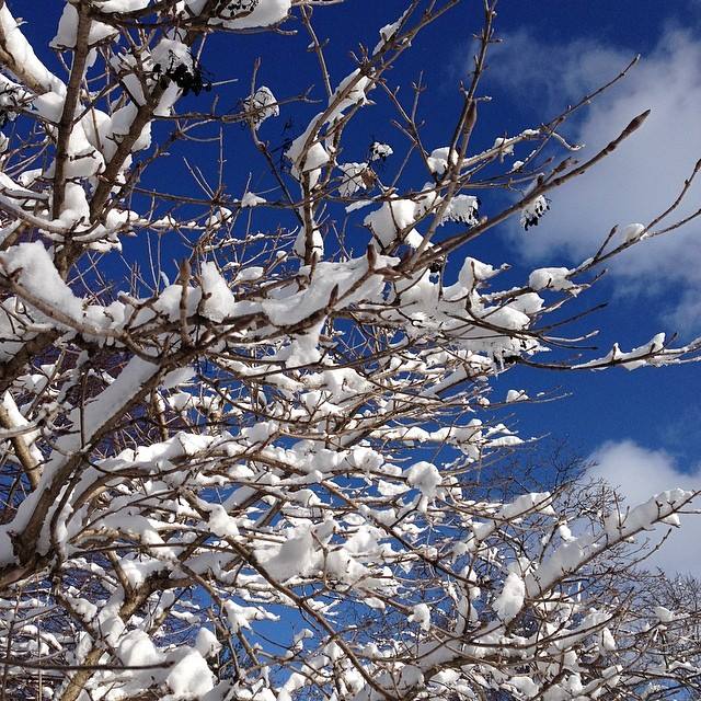 10003404_10152225182438926_2054072308_n