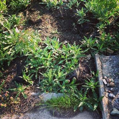 10247457_10152353417968926_7517047325752612395_n