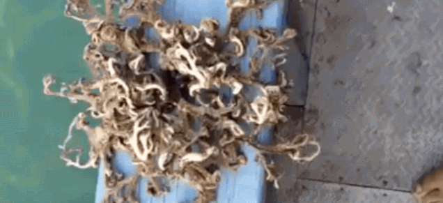 iy7b606ianbnljirvnsk