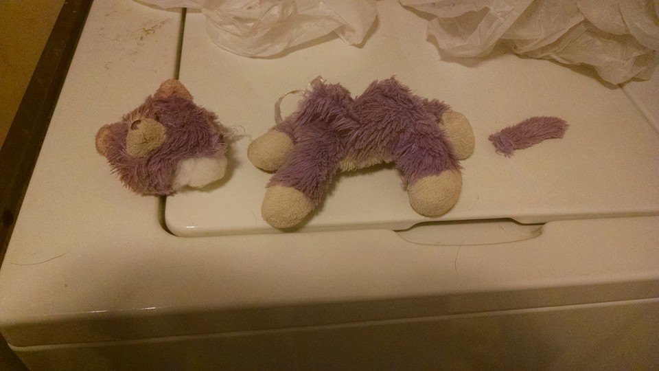 10401384_10152875059674066_1925030334716189476_n