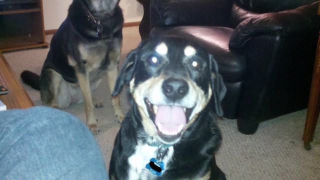 2011-03-06_13-51-07_986