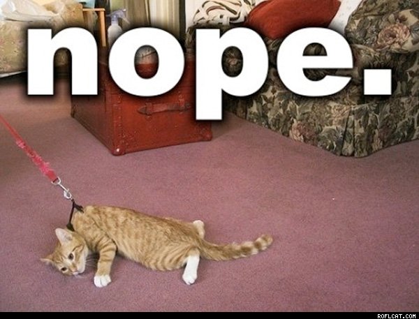 xNope.jpg.pagespeed.ic.xecQlXJhis