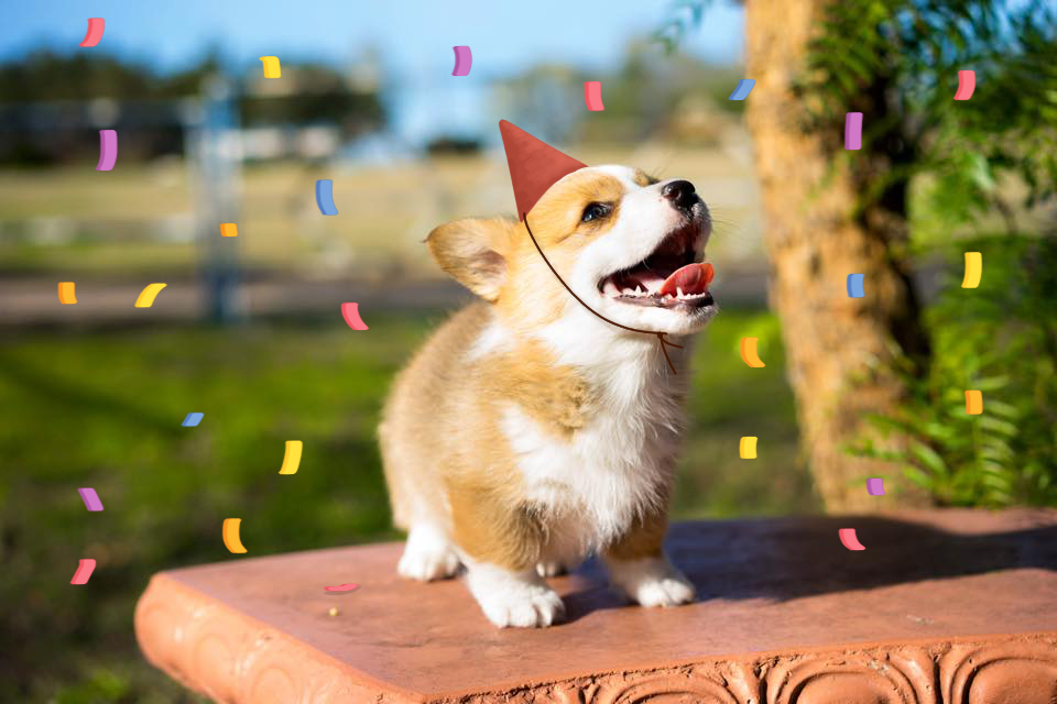 tumblr_niltjeszzt1syglkno1_1280