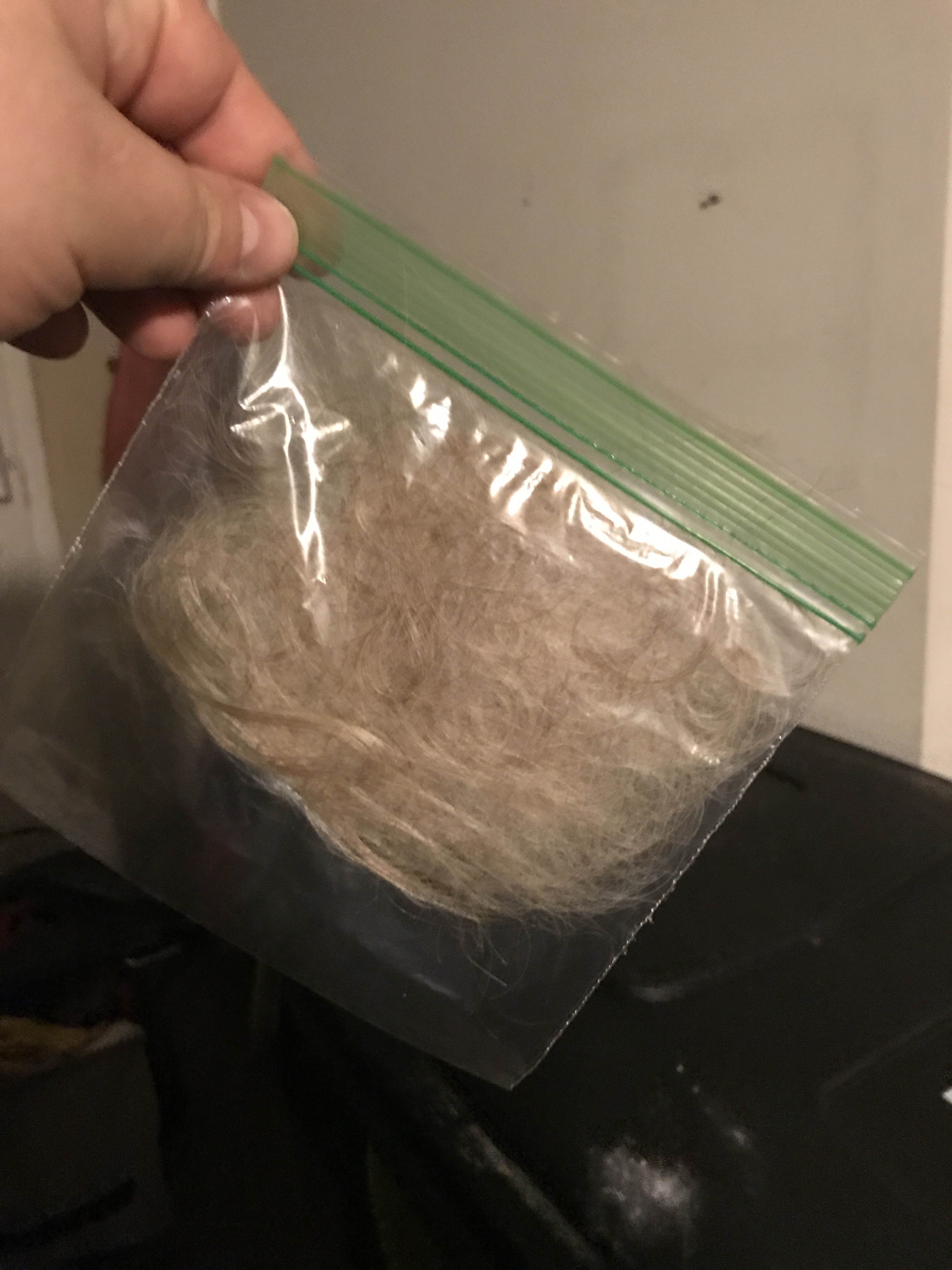 53231621923__5A383229-B18B-4F9C-827F-4E2EEF0D9CCA